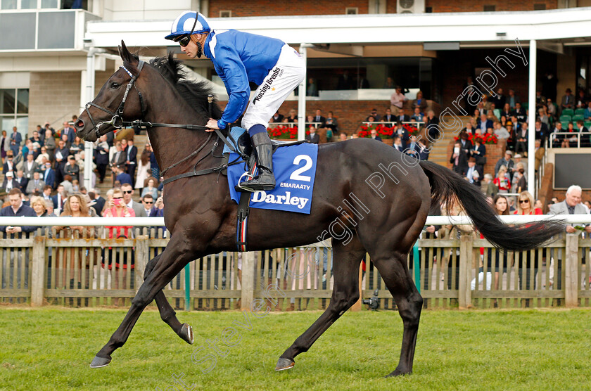 Emaraaty-0002 
 EMARAATY (Jim Crowley) Newmarket 14 Oct 2017 - Pic Steven Cargill / Racingfotos.com