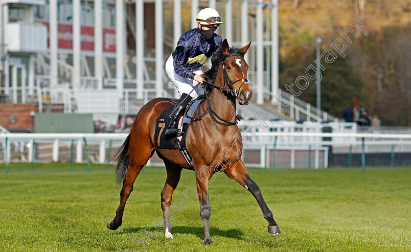 Silver-Horn-0001 
 SILVER HORN (Nicky Mackay)
Nottingham 4 Nov 2020 - Pic Steven Cargill / Racingfotos.com