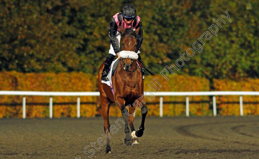 Here-And-Now-0002 
 HERE AND NOW (Rossa Ryan)
Kempton 10 Nov 2021 - Pic Steven Cargill / Racingfotos.com