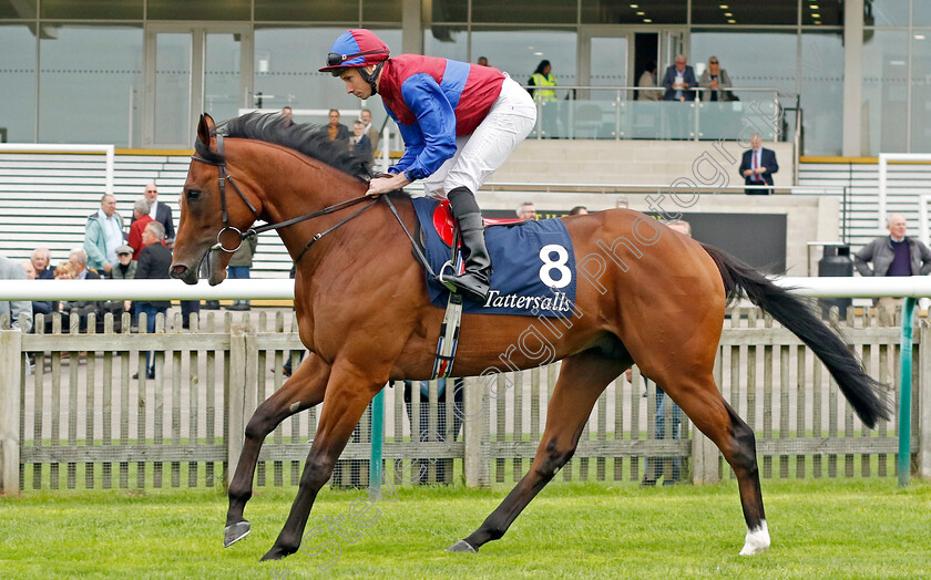 Military-0002 
 MILITARY (Ryan Moore)
Newmarket 28 Sep 2023 - Pic Steven Cargill / Racingfotos.com