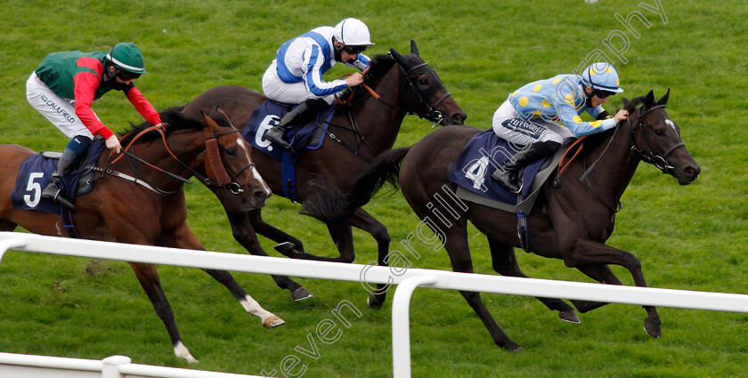 Dashing-Roger-0002 
 DASHING ROGER (Harry Bentley) wins The Moulton Nurseries Handicap
Yarmouth 16 Sep 2020 - Pic Steven Cargill / Racingfotos.com