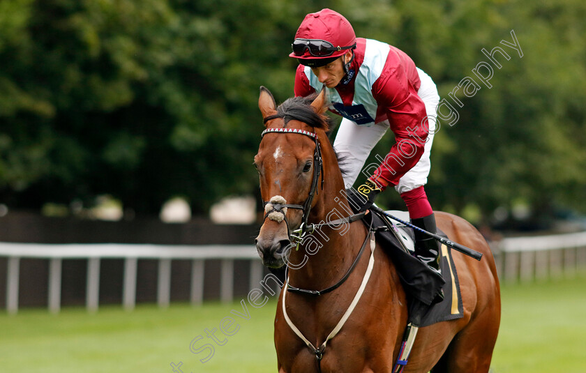 Jumby-0002 
 JUMBY (Edward Greatrex)
Newmarket 10 Aug 2024 - Pic Steven Cargill / Racingfotos.com