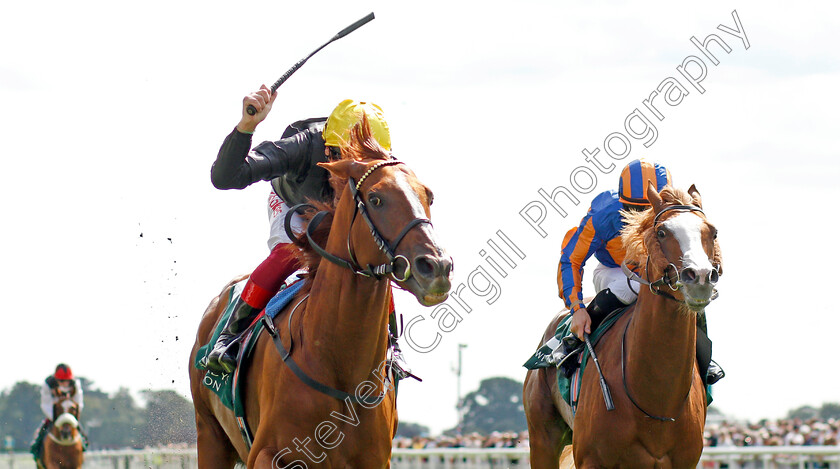 Stradivarius-0006 
 STRADIVARIUS (Frankie Dettori) wins The Weatherbys Hamilton Lonsdale Cup
York 23 Aug 2019 - Pic Steven Cargill / Racingfotos.com