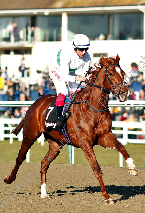 Wissahickon-0001 
 WISSAHICKON (Frankie Dettori) winner of The Betway Winter Derby Stakes
Lingfield 23 Feb 2019 - Pic Steven Cargill / Racingfotos.com