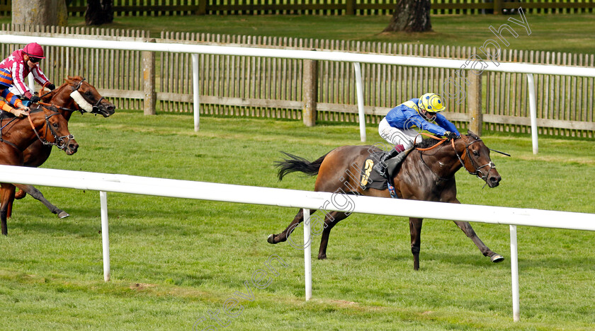 Mount-Teide-0005 
 MOUNT TEIDE (Oisin Murphy) wins The Jenningsbet Treble Odds Lucky 15 Handicap
Newmarket 10 Aug 2024 - Pic Steven Cargill / Racingfotos.com