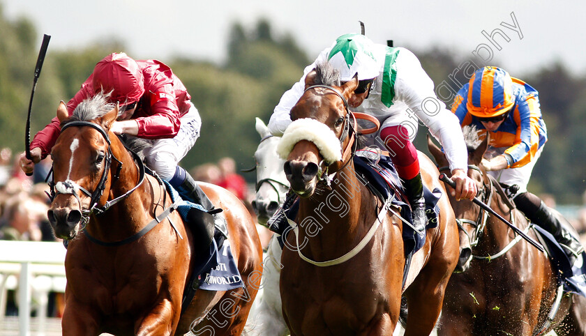 Emaraaty-Ana-0006 
 EMARAATY ANA (centre, Frankie Dettori) beats LEGENDS OF WAR (left) in The Al Basti Equiworld Gimcrack Stakes
York 24 Aug 2018 - Pic Steven Cargill / Racingfotos.com