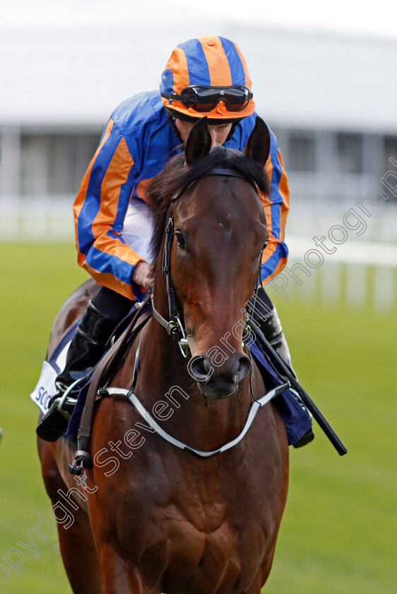 The-Irish-Rover-0001 
 THE IRISH ROVER (Ryan Moore) Ascot 2 May 2018 - Pic Steven Cargill / Racingfotos.com