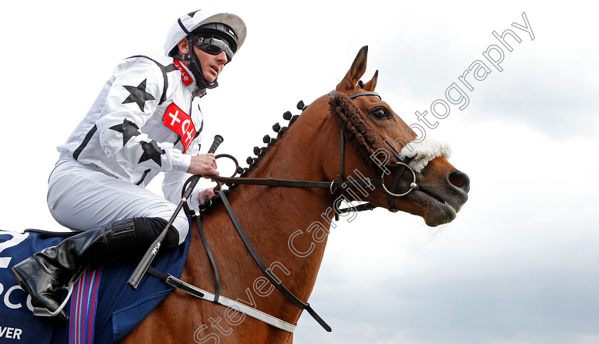 Fev-Rover-0002 
 FEV ROVER (Paul Hanagan)
Newmarket 2 May 2021 - Pic Steven Cargill / Racingfotos.com