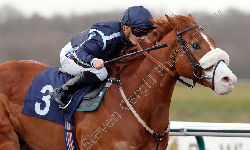 Harvey-Dent-0013 
 HARVEY DENT (Hollie Doyle) wins The Ladbrokes Home Of The Odds Boost Novice Median Auction Stakes
Lingfield 25 Jan 2019 - Pic Steven Cargill / Racingfotos.com