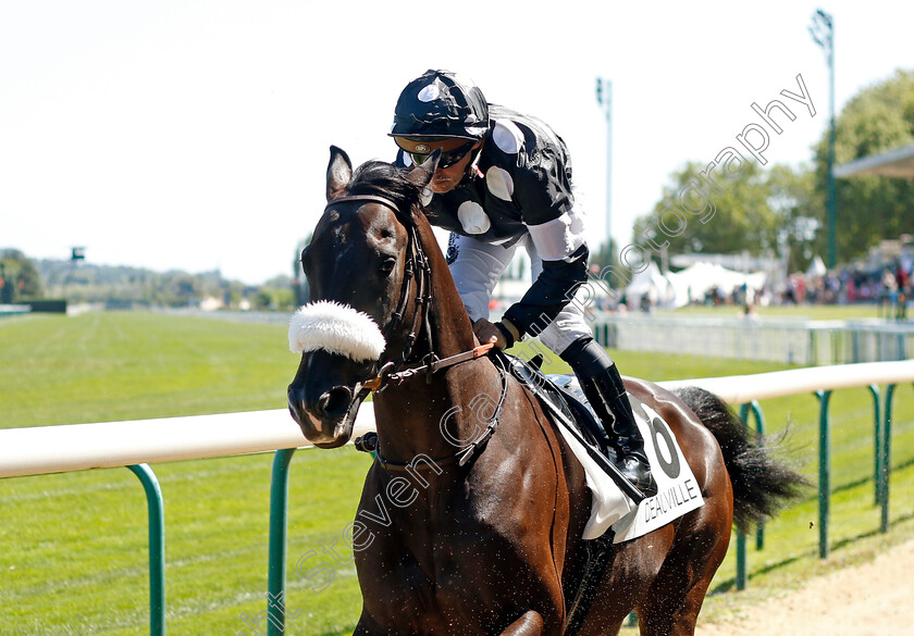 Royal-Shake-0001 
 ROYAL SHAKE (Stephane Pasquier)
Deauville 6 Aug 2022 - Pic Steven Cargill / Racingfotos.com