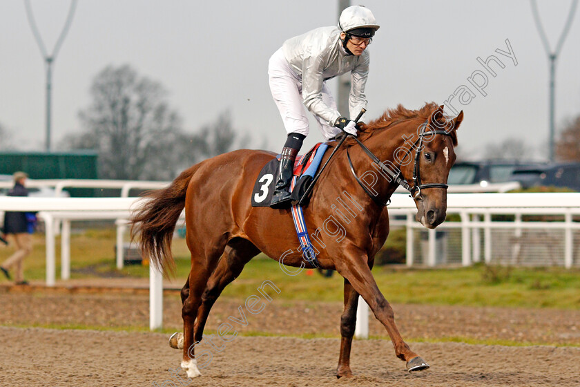 Book-Review-0001 
 BOOK REVIEW (Robert Havlin)
Chelmsford 25 Nov 2019 - Pic Steven Cargill / Racingfotos.com