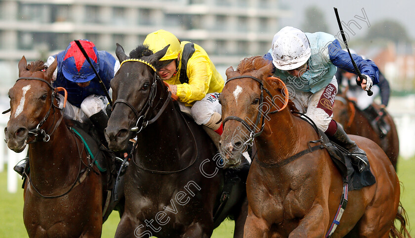 Ritchie-Valens-0004 
 RITCHIE VALENS (right, Oisin Murphy) beats TAMMOOZ (centre) and FANTASTIC BLUE (left) in The Oakgrove Graduates Handicap
Newbury 6 Aug 2019 - Pic Steven Cargill / Racingfotos.com