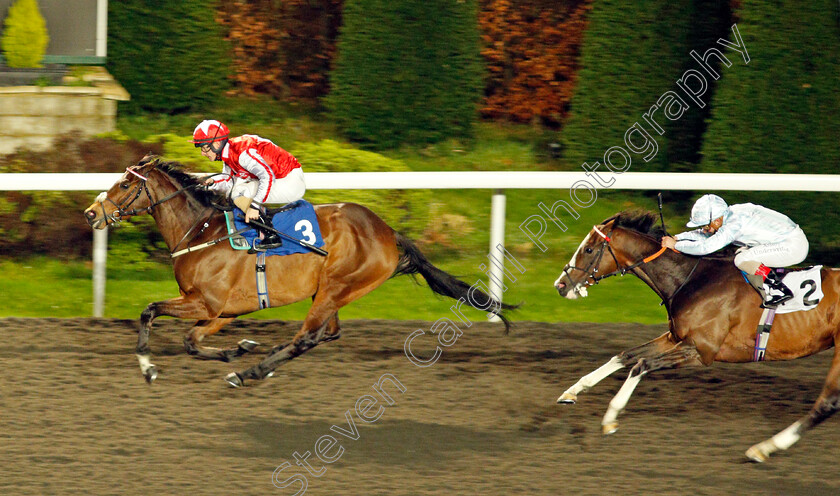 Central-City-0003 
 CENTRAL CITY (Richard Kingscote) beats LORD HALIFAX (right) in The Try Our New Super Boosts At Unibet Handicap
Kempton 2 Dec 2020 - Pic Steven Cargill / Racingfotos.com