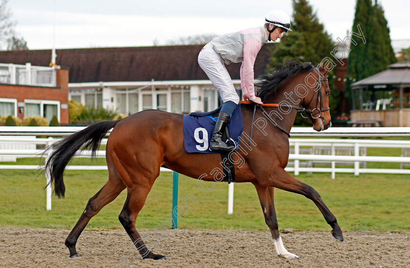 Swooping-Eagle-0001 
 SWOOPING EAGLE (Jack Mitchell)
Lingfield 18 Dec 2019 - Pic Steven Cargill / Racingfotos.com