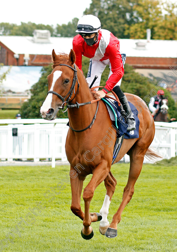 Lottie-Marie-0001 
 LOTTIE MARIE (Harry Bentley)
Lingfield 2 Sep 2020 - Pic Steven Cargill / Racingfotos.com