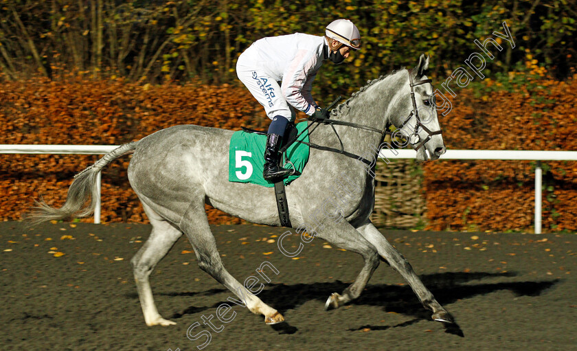 Fauvette-0002 
 FAUVETTE (Jim Crowley) winner of The Unibet Extra Place Offers Every Day Novice Stakes
Kempton 25 Nov 2020 - Pic Steven Cargill / Racingfotos.com