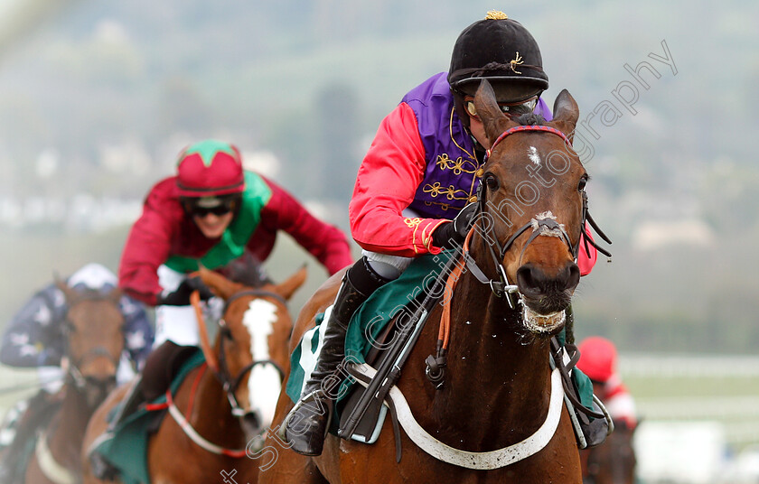 Sunshade-0004 
 SUNSHADE (Nico de Boinville) wins The Catesby Estates PLC Mares Handicap Hurdle
Cheltenham 18 Apr 2019 - Pic Steven Cargill / Racingfotos.com