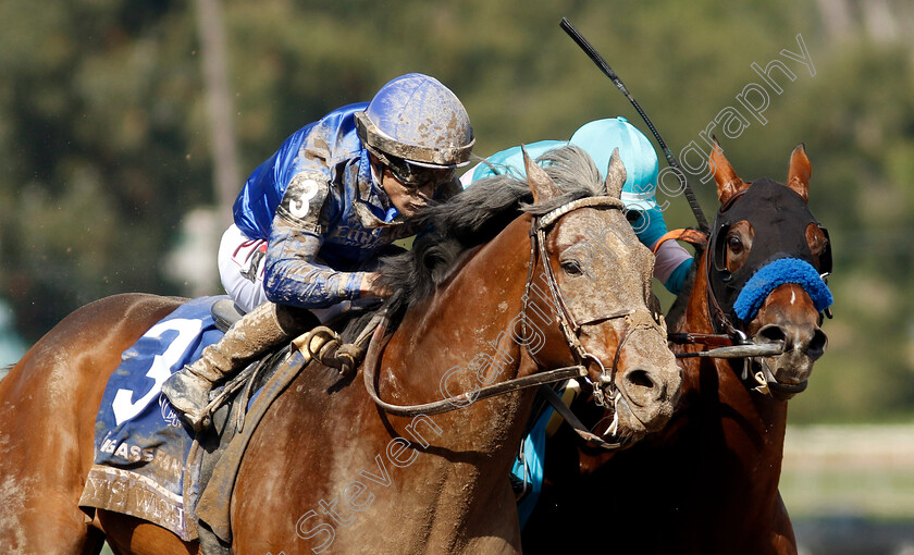 Cody s-Wish-0004 
 CODY'S WISH (left, Junior Alvarado) beats NATIONAL TREASURE (right, Flavien Prat) in The Breeders' Cup Dirt Mile
Santa Anita 4 Nov 2023 - Pic Steven Cargill / Racingfotos.com