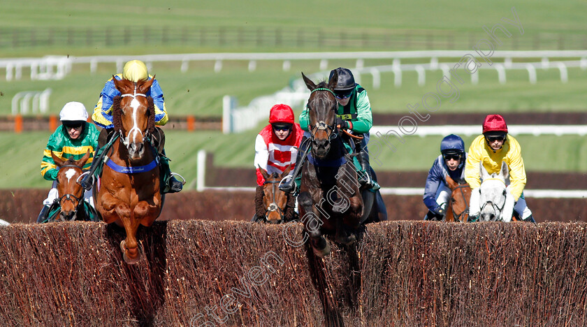 Tanarpino-and-Nightline-0001 
 TANARPINO (left, Sean Quinlan) jumps with NIGHTLINE (centre) Cheltenham 18 Apr 2018 - Pic Steven Cargill / Racingfotos.com