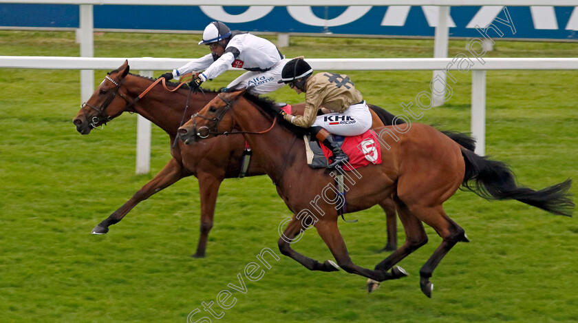 Rebel-Territory-0004 
 REBEL TERRITORY (Jim Crowley) beats OUZO (right) in The Coral Whitsun Cup
Sandown 26 May 2022 - Pic Steven Cargill / Racingfotos.com