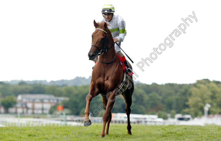 Drap-D or-0001 
 DRAP D'OR (Andrea Atzeni)
Sandown 16 Jun 2018 - Pic Steven Cargill / Racingfotos.com