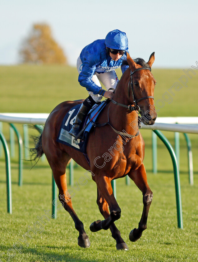 Lady-Hamilton-0002 
 LADY HAMILTON (P J McDonald)
Newmarket 20 Oct 2021 - Pic Steven Cargill / Racingfotos.com