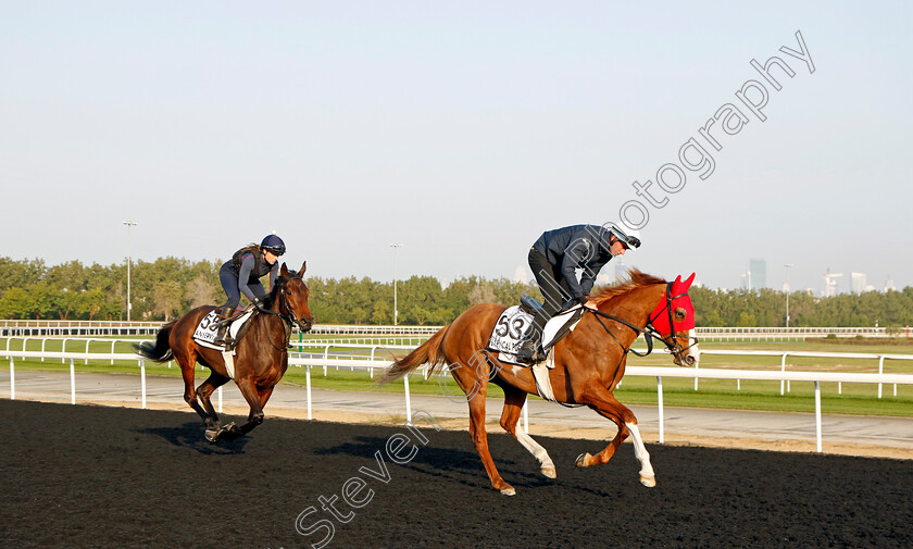 Lyrical-Poetry-and-Annerville-0001 
 LYRICAL POETRY leads ANNERVILLE training at Meydan, Dubai
2 Feb 2023 - Pic Steven Cargill / Racingfotos.com