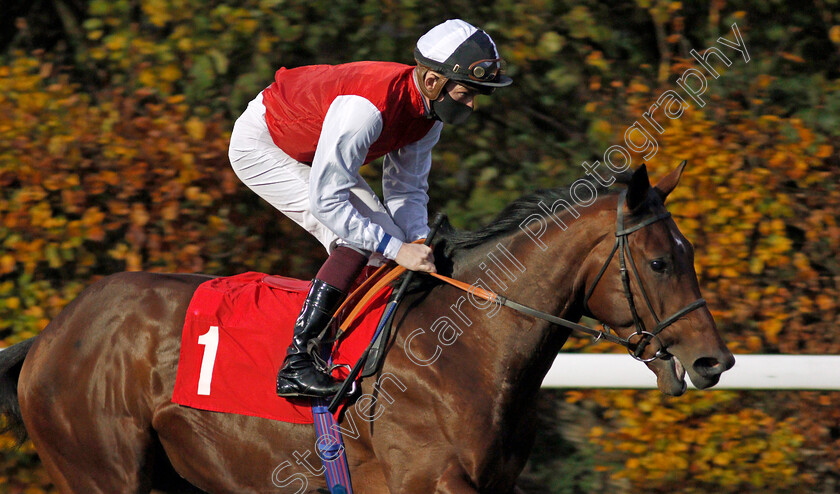 Bullace-0001 
 BULLACE (Rob Hornby) winner of The Unibet Extra Place Offers Every Day Novice Stakes Div1
Kempton 11 Nov 2020 - Pic Steven Cargill / Racingfotos.com