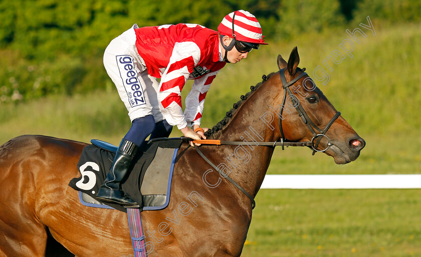 Sharpcliff-0004 
 SHARPCLIFF (David Probert)
Chelmsford 7 Jun 2022 - Pic Steven Cargill / Racingfotos.com