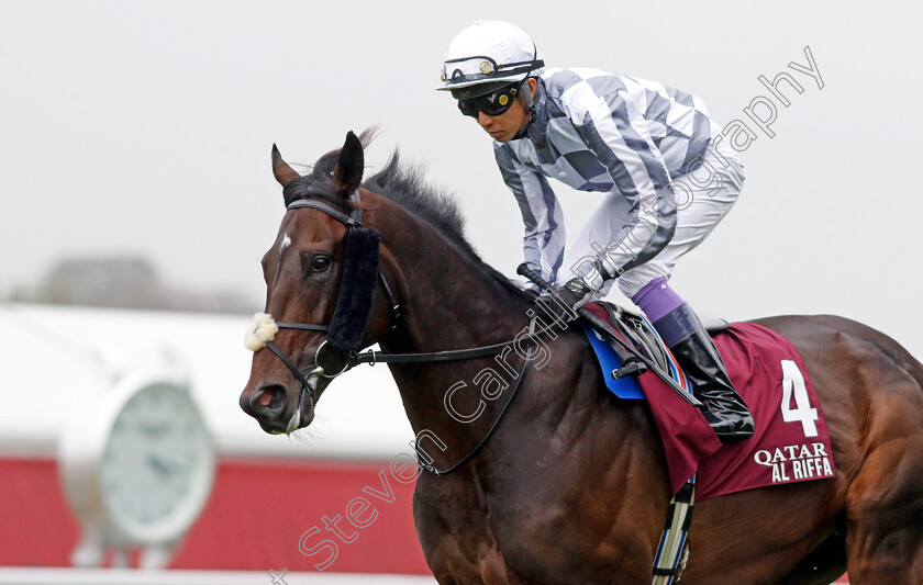 Al-Riffa-0001 
 AL RIFFA (Yutake Take)
Longchamp 6 Oct 2024 - Pic Steven Cargill / Racingfotos.com