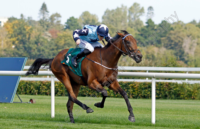 Kitty-Rose-0005 
 KITTY ROSE (Billy Lee) wins The Ballylinch Stud Irish EBF Ingabelle Stakes
Leopardstown 9 Sep 2023 - Pic Steven Cargill / Racingfotos.com