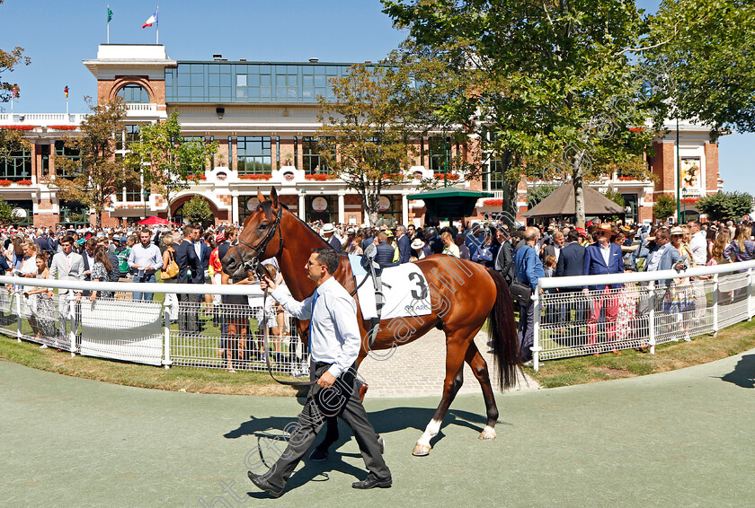 Naval-Crown-0001 
 NAVAL CROWN 
Deauville 7 Aug 2022 - Pic Steven Cargill / Racingfotos.com