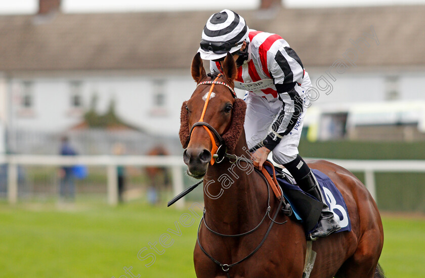 Glen-Force-0003 
 GLEN FORCE (Luke Morris)
Yarmouth 16 Sep 2020 - Pic Steven Cargill / Racingfotos.com