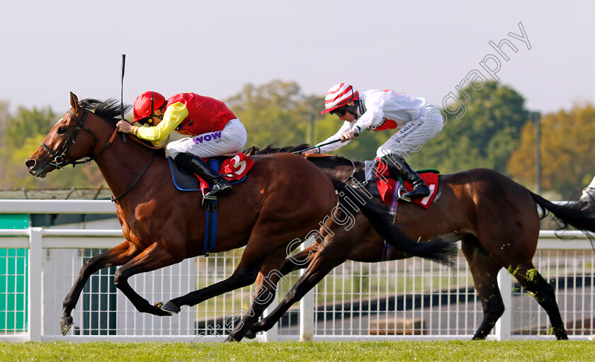 Goodwood-Odyssey-0001 
 GOODWOOD ODYSSEY (Kieran Shoemark) wins The Nordoff & Robbins Judy Martin Memorial Handicap
Sandown 26 Apr 2024 - Pic Steven Cargill / Racingfotos.com