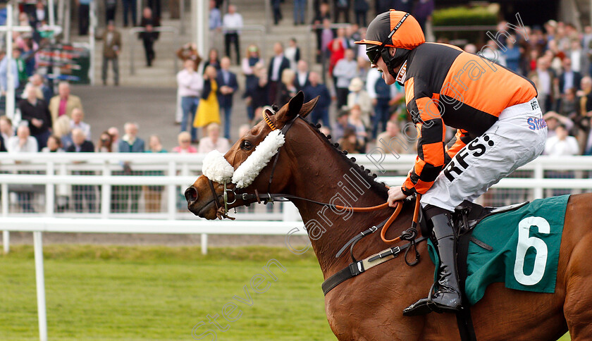 Northern-Beau-0007 
 NORTHERN BEAU (Richie McLernon) wins The Thoroughbred Breeders Association Mares Handicap Chase
Cheltenham 18 Apr 2019 - Pic Steven Cargill / Racingfotos.com