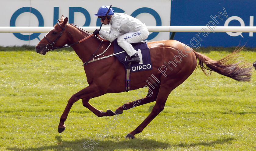 Communique-0004 
 COMMUNIQUE (Silvestre De Sousa) wins The Jockey Club Stakes
Newmarket 4 May 2019 - Pic Steven Cargill / Racingfotos.com