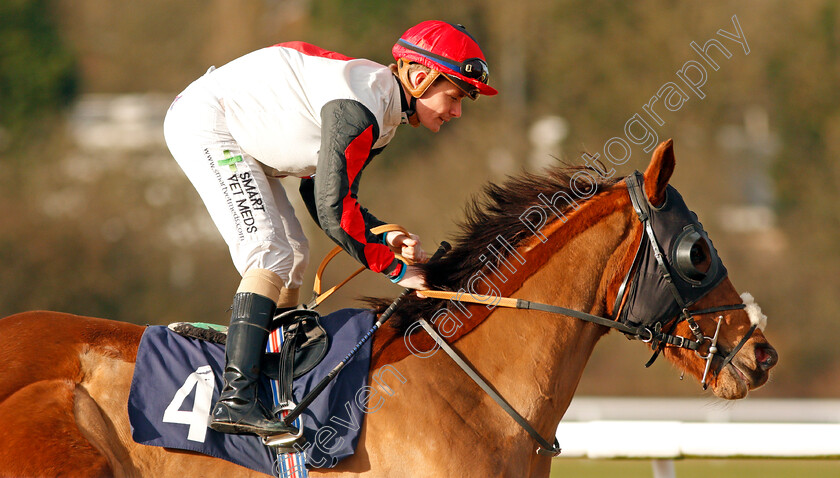 Miracle-Garden-0001 
 MIRACLE GARDEN (KIeran O'Neill)
Wolverhampton 3 Jan 2020 - Pic Steven Cargill / Racingfotos.com