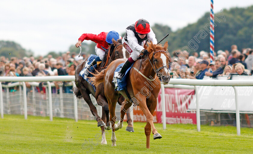 Search-For-A-Song-0001 
 SEARCH FOR A SONG (Oisin Murphy) wins The British EBF & Sir Henry Cecil Galtres Stakes
York 22 Aug 2019 - Pic Steven Cargill / Racingfotos.com