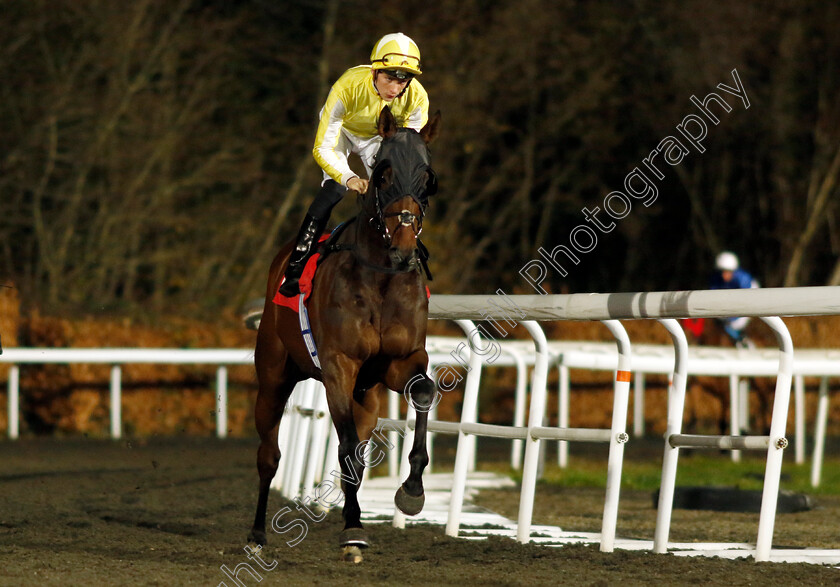 Base-Note-0001 
 BASE NOTE (Harry Davies)
Kempton 13 Dec 2023 - Pic Steven Cargill / Racingfotos.com