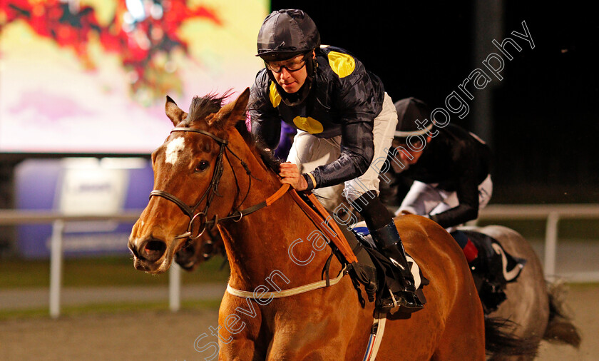 Shimmering-Dawn-0007 
 SHIMMERING DAWN (Tom Eaves) wins The chelmsfordcityracecourse.com Fillies Conditions Stakes
Chelmsford 18 Feb 2021 - Pic Steven Cargill / Racingfotos.com