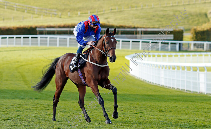 King-Frankel-0001 
 KING FRANKEL (William Buick)
Goodwood 11 Oct 2020 - Pic Steven Cargill / Racingfotos.com