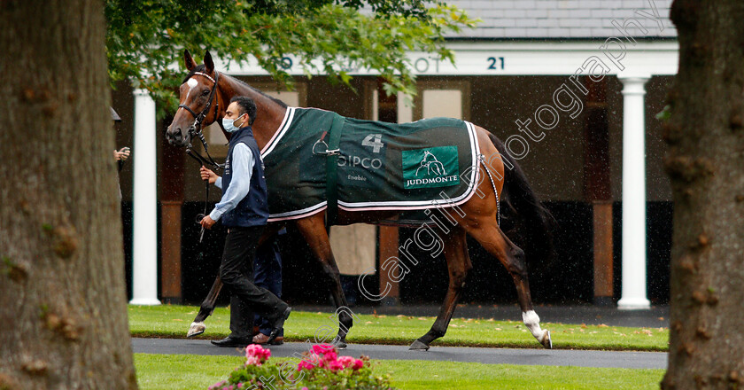 Enable-0001 
 ENABLE (Frankie Dettori) before The King George VI And Queen Elizabeth Stakes
Ascot 25 Jul 2020 - Pic Steven Cargill / Racingfotos.com