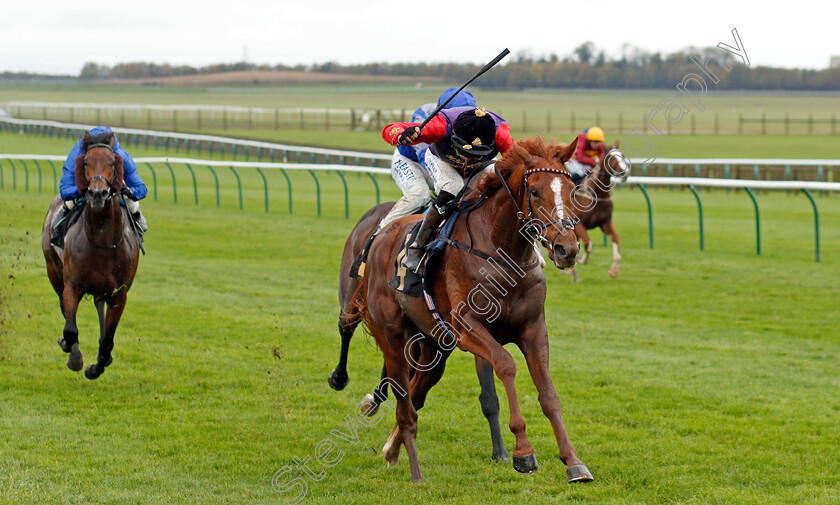 Pied-Piper-0003 
 PIED PIPER (Robert Havlin) wins The Rossdales Laboratories Maiden Stakes
Newmarket 21 Oct 2020 - Pic Steven Cargill / Racingfotos.com