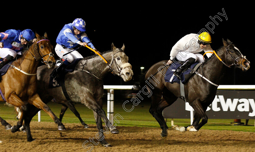 Katheefa-0002 
 KATHEEFA (centre, James Sullivan) beats STORM OVER (right) in The Betway Handicap
Wolverhampton 19 Dec 2019 - Pic Steven Cargill / Racingfotos.com