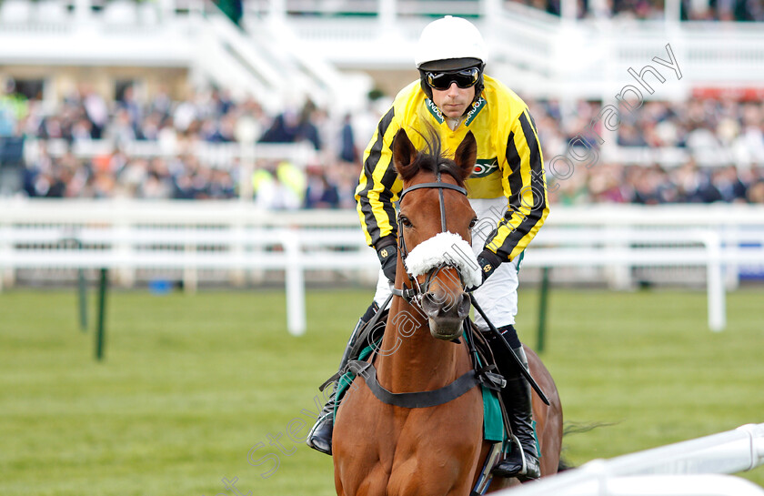 Allmankind 
 ALLMANKIND (Harry Skelton)
Aintree 8 Apr 2022 - Pic Steven Cargill / Racingfotos.com