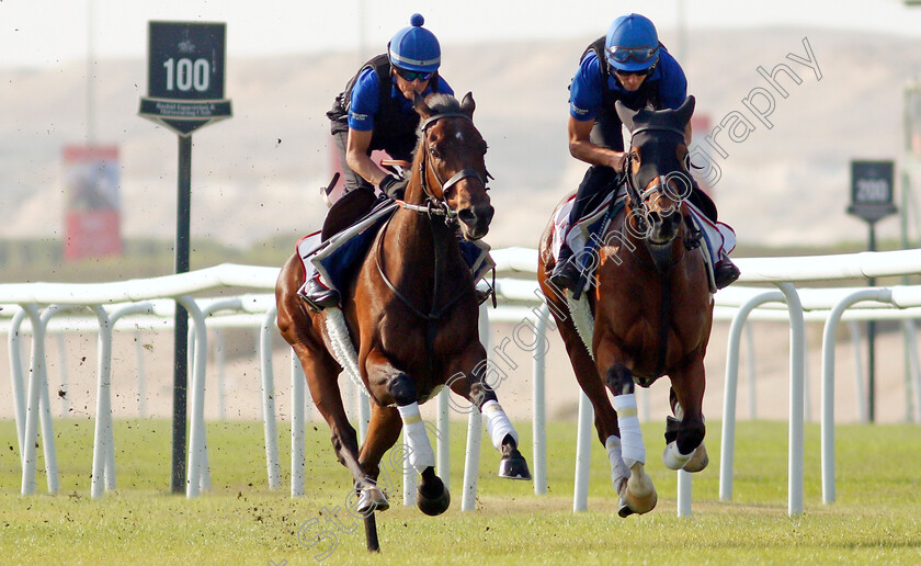 Zakouski-&-Barney-Roy-0002 
 ZAKOUSKI (left) and BARNEY ROY (right) exercising in preparation for Friday's Bahrain International Trophy
Sakhir Racecourse, Bahrain 16 Nov 2021 - Pic Steven Cargill / Racingfotos.com