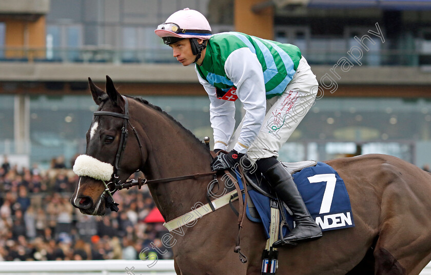 Carbon-King-0002 
 CARBON KING (Conor Ring)
Ascot 21 Dec 2024 - Pic Steven Cargill / Racingfotos.com