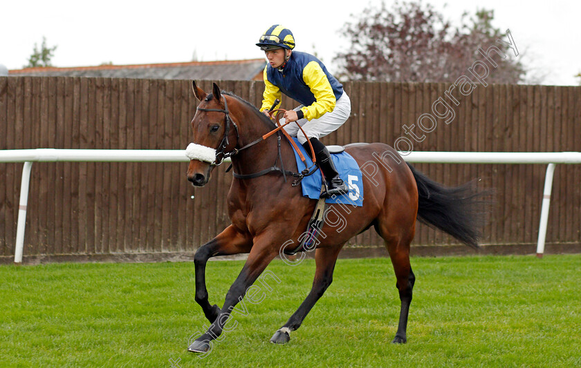 Mega-Marvel 
 MEGA MARVEL (Theodore Ladd)
Leicester 12 Oct 2021 - Pic Steven Cargill / Racingfotos.com