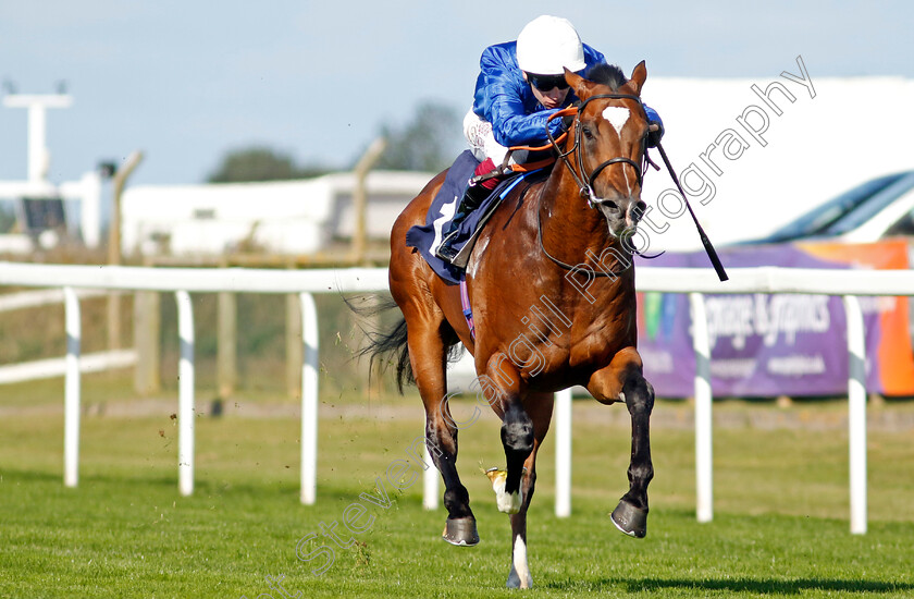 Midnight-Thunder-0004 
 MIDNIGHT THUNDER (Oisin Murphy) wins The British Stallion Studs EBF Novice Stakes
Yarmouth 17 Sep 2024 - Pic Steven Cargill / Racingfotos.com