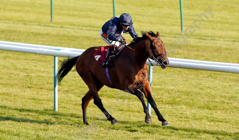 Nayel-0003 
 NAYEL (Silvestre De Sousa) wins The Armstrong Family Support The ABF Handicap
Haydock 26 May 2018 - Pic Steven Cargill / Racingfotos.com